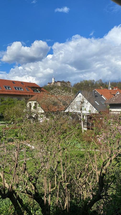 Arto Castle View Apartment Ljubljana Exterior photo